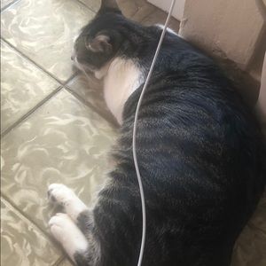 Meet your Posher, Irmarie